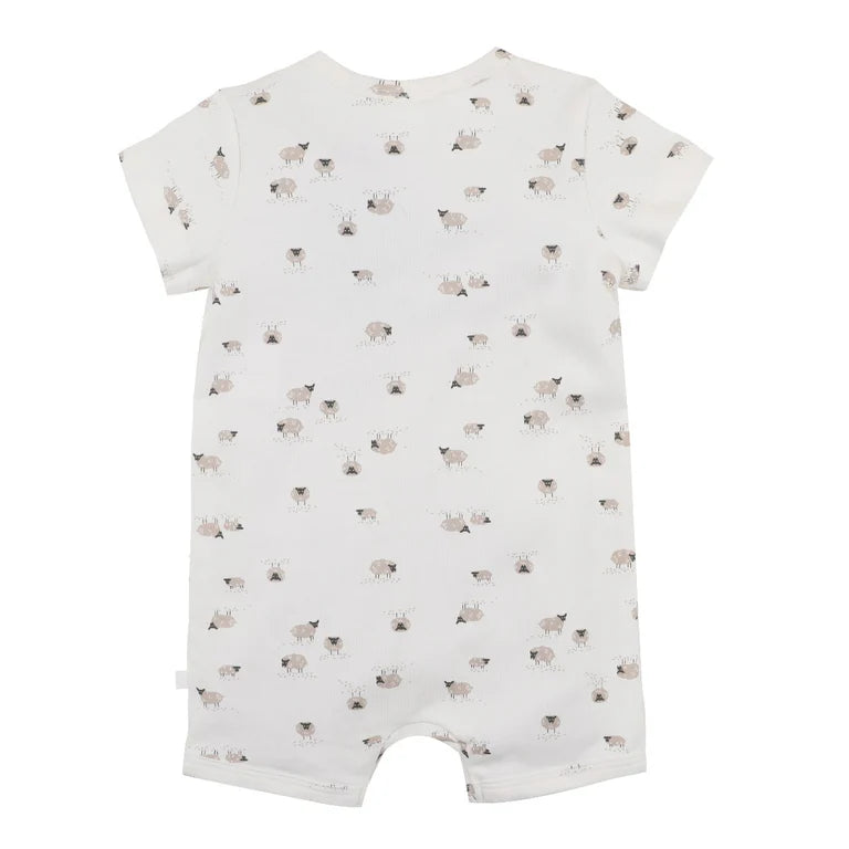 Bebe Sheep Organic Short Sleeve Romper